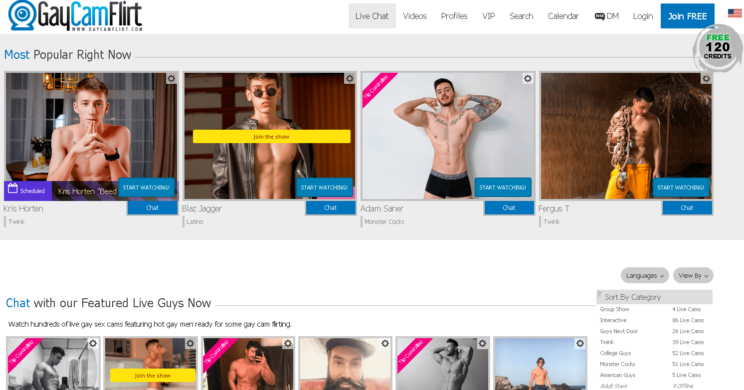 cam gay sex sites