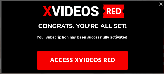 Definition Xvideo Com - Xvideos Red Truthful Review: What's Beyond the Payment Page?