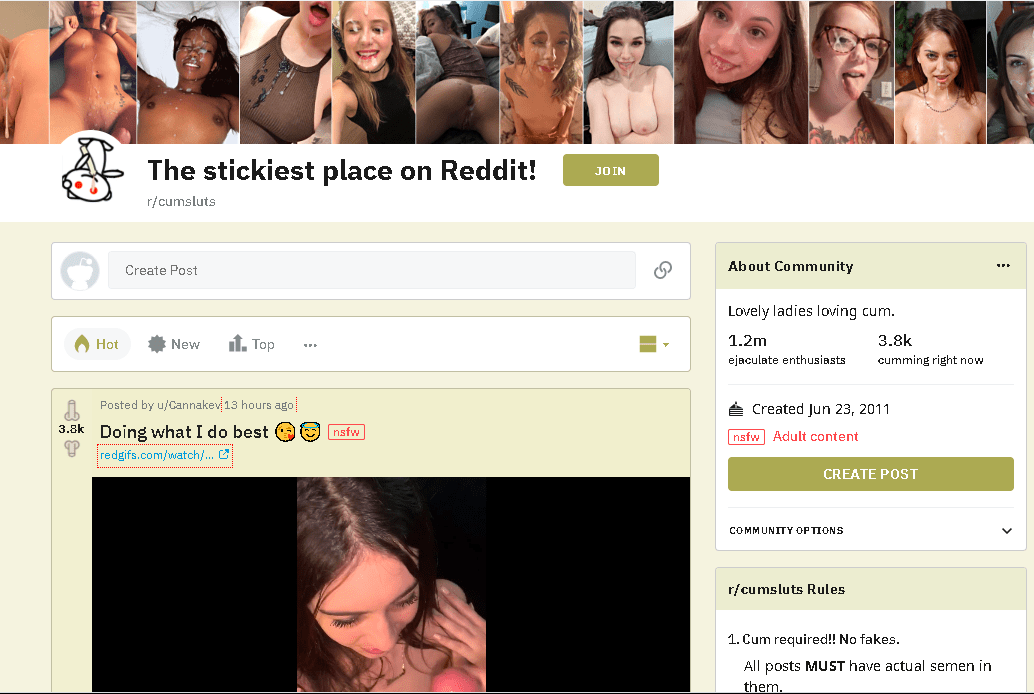 Reddit Gonewild Cumsluts